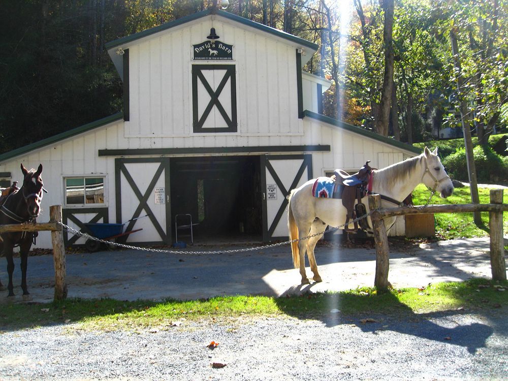 Valle Crucis Farm 외부 사진