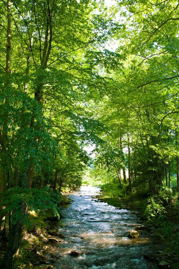 Valle Crucis Farm 외부 사진